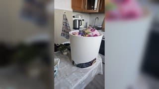 Новый горшок и грунт с биофунгицидом (не просто так)